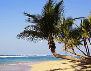 Buscar chollos de hoteles en Punta Cana