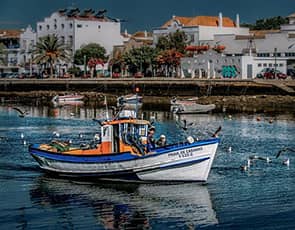 Buscar chollos de hoteles en Tavira Algarve